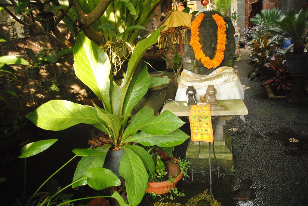 Jangkrik Homestay Ubud Zewnętrze zdjęcie